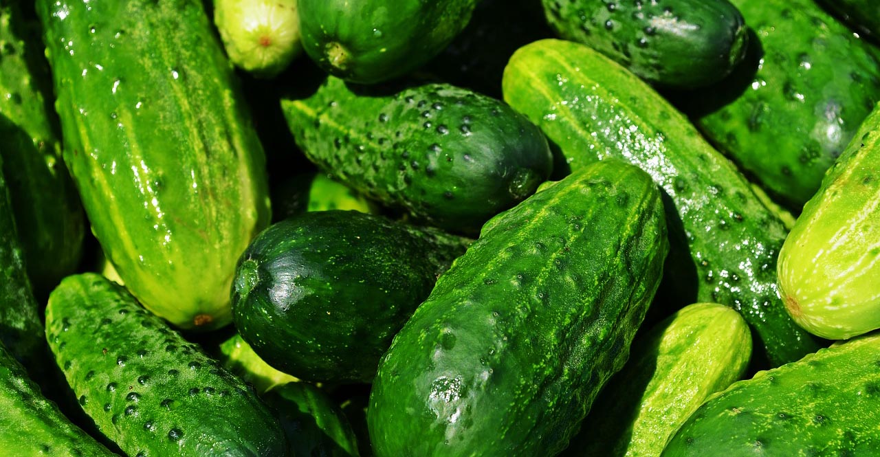 5 Ways to Power Through Your Cucumbers