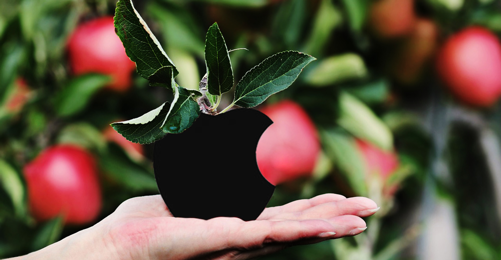 Woman holding an Apple.