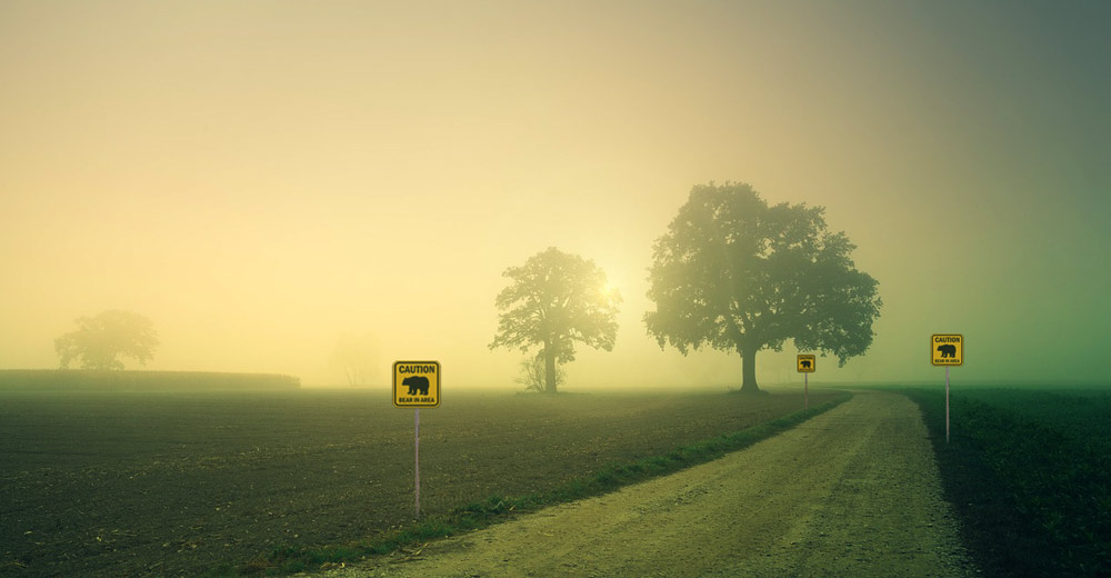 Bear signs in field.