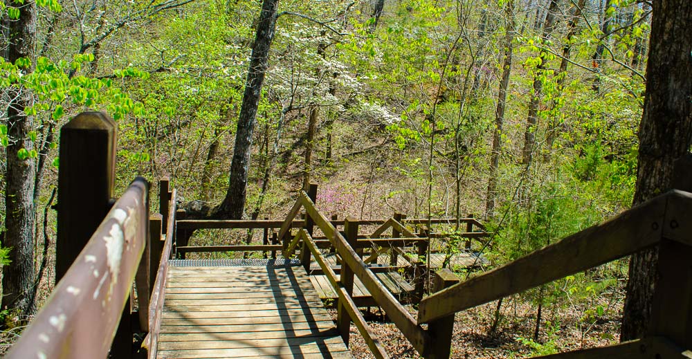 Trail through the woods.