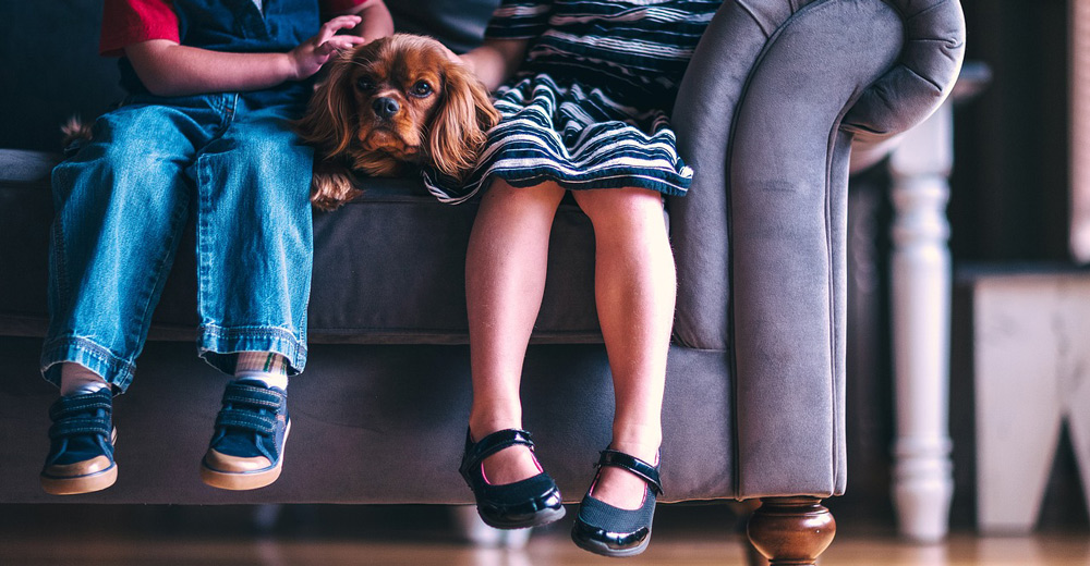 Two kids on a couch.