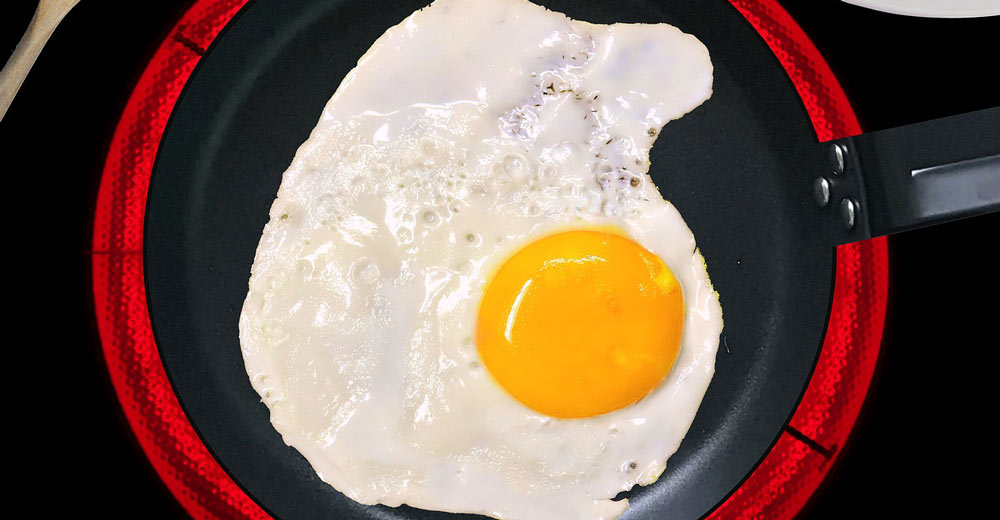 fried egg