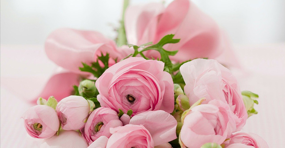 Bouquet of pink roses.