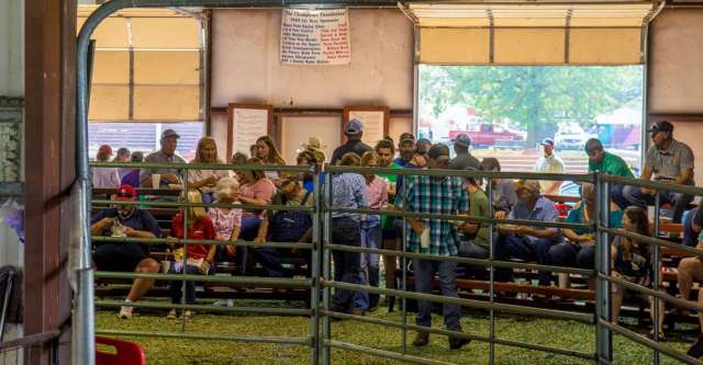 People waiting in their seats waiting for the auction to begin at the Heart of the Ozarks Fair on June 6, 2023.