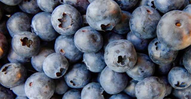 blueberries, fruit