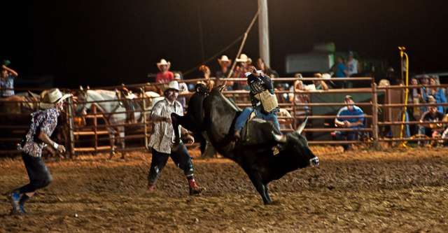 A cowboy tries to stay on a bucking bull at Thomasville's rodeo.